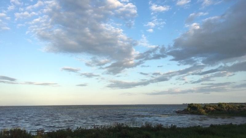 View of Lake Kissimmee from the shore