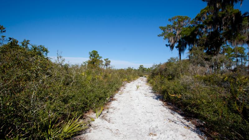 Sugar Trail at Lake June-in-Winter Scrub Preserve State Park