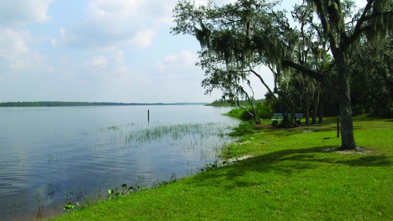 A view of Lake Manatee.