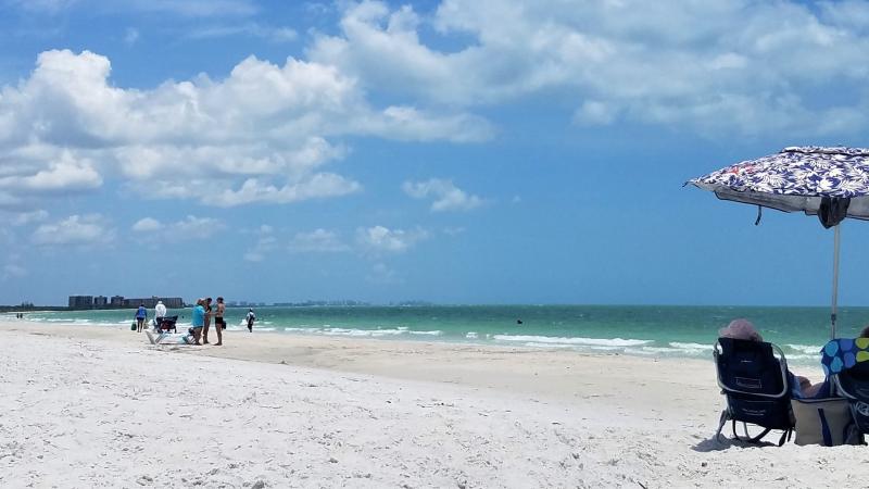 A view of people sunbathing along the beach.