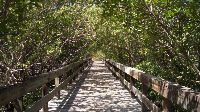 Lovers Key Boardwalk