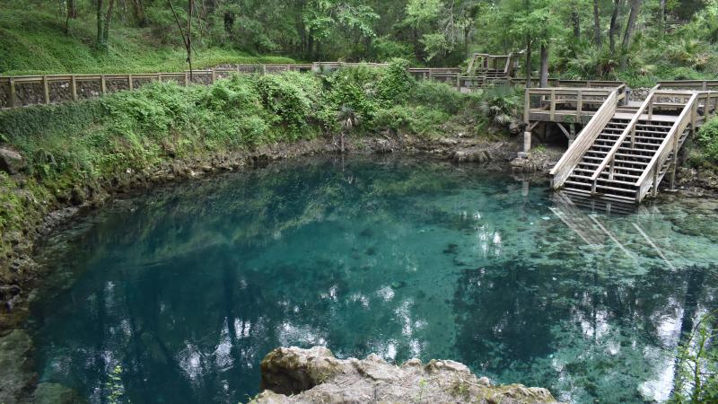Photo of Madison Blue Spring