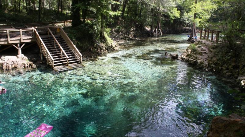 View of Madison Spring with good water clarity