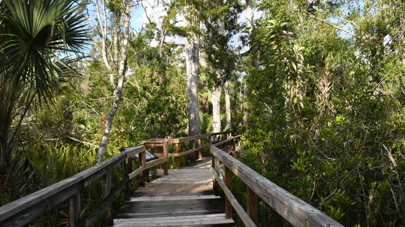 A view of the boardwalk.