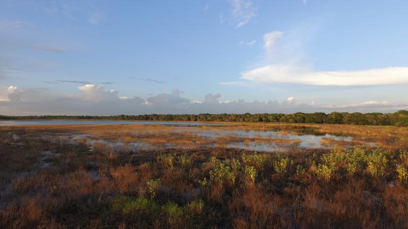 Myakka River State Park | Florida State Parks