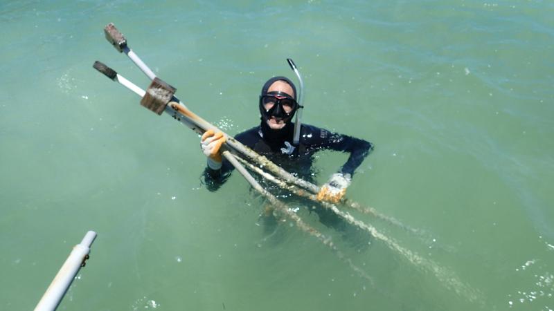 Nate Collins with Bird stakes at Restoration Area