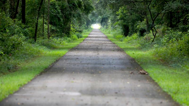 Nature Coast State Trail