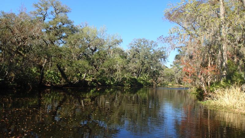 View of Haw Creek