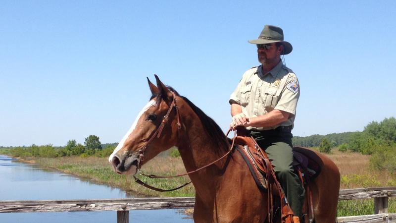 Andy Nolan, Park Manager