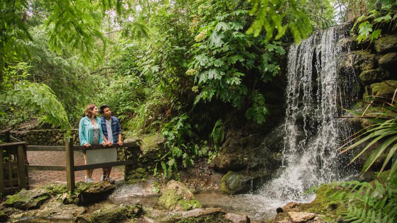 two people standing on a bridge, looking at a waterfall.