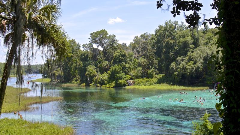 A view of the springs.