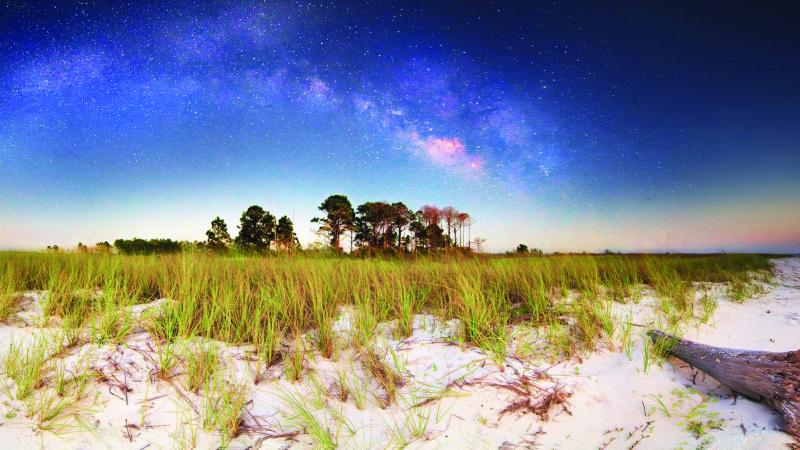 Beach under night sky