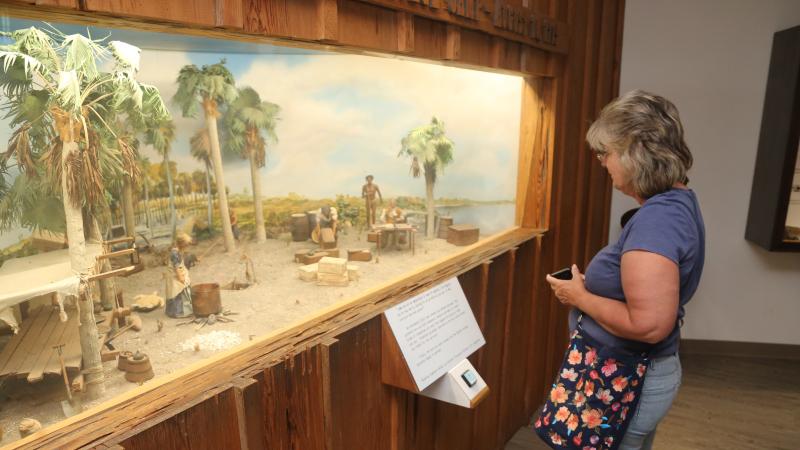 A woman looking at an educational display.