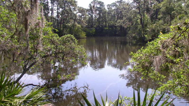 A view of South Creek.