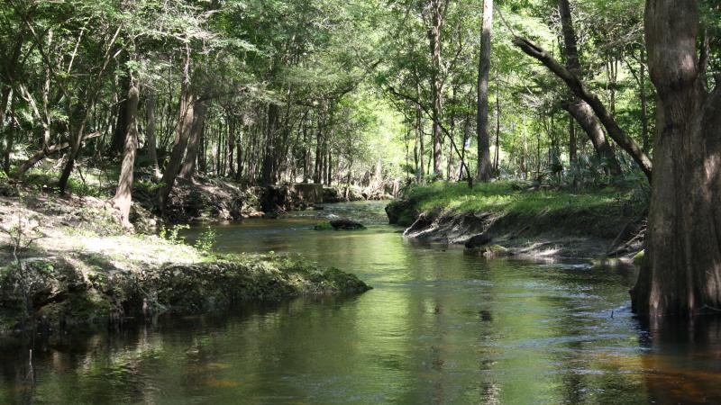 Spring Run to the River