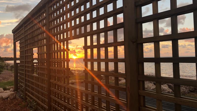 Sunrise along day use area coming through lattice