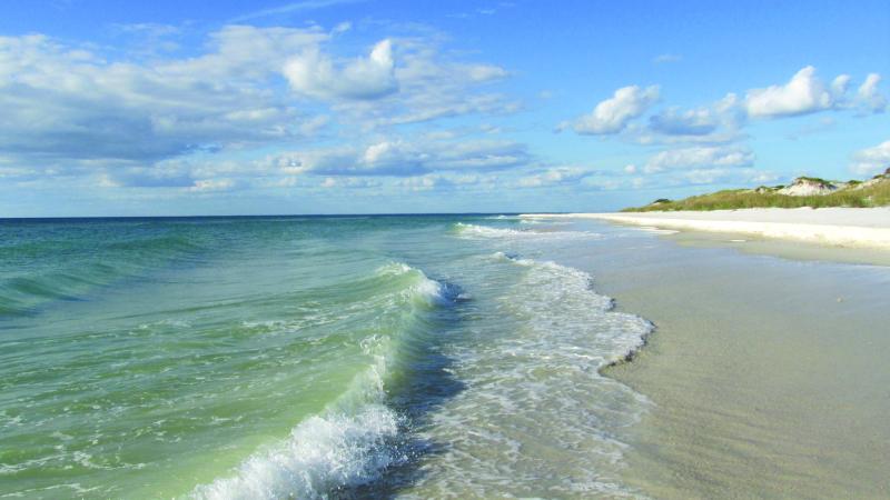 Beach view with wave coming ashore