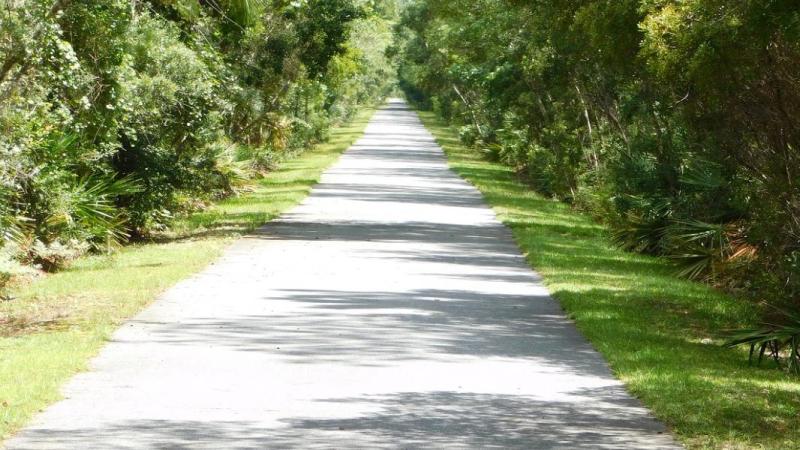 hike, walk, ride, trailhead, equestrian, Apalachicola National Forest