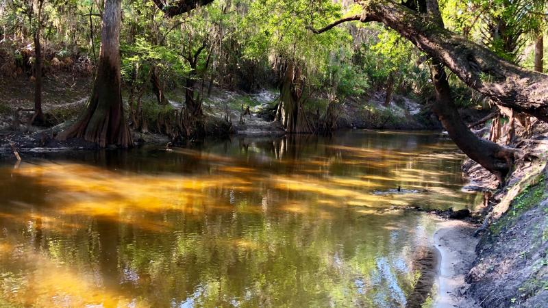 Step Back in Time: Exploring the Enchanting Paynes Creek Historic State Park