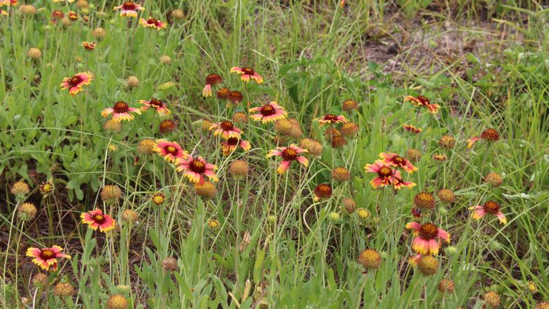 Palatka to St. Augustine State Trail