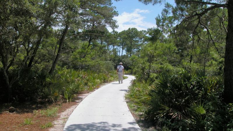 Escape to Serenity: Unwinding at Deer Lake State Park