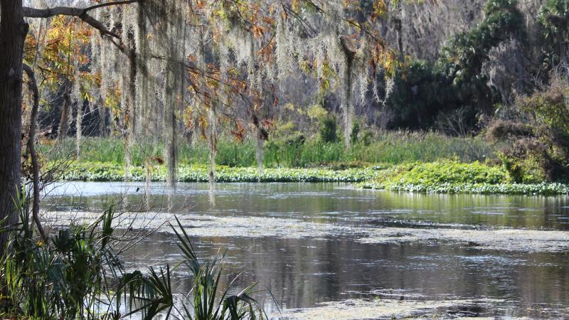 Manager's Message Lower Wekiva River Preserve State Park