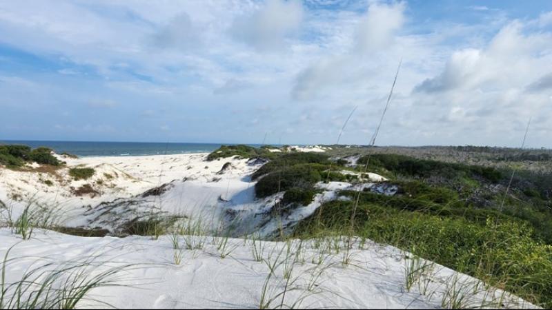 Wilderness Preserve