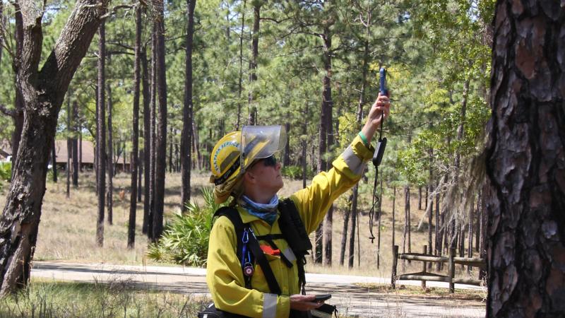 Alice Bard testing weather