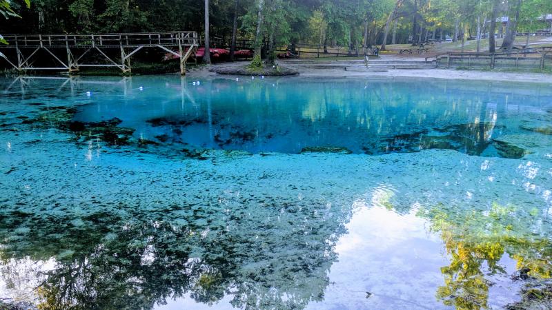 a large blue spring surrounded by a boardwalk