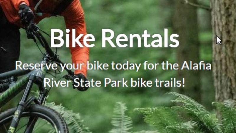 Bike Rentals