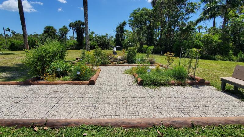 Butterfly garden with native Florida plants