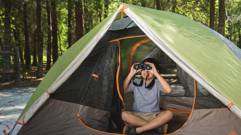 Young boy peers through binoculars from the inside of a tent. 