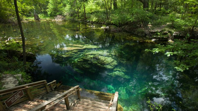 a set of steps leads down into a crystal clear body of blue-green water surrounded by trees.