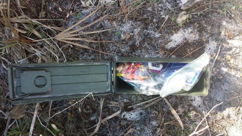 A view of a geocache box.