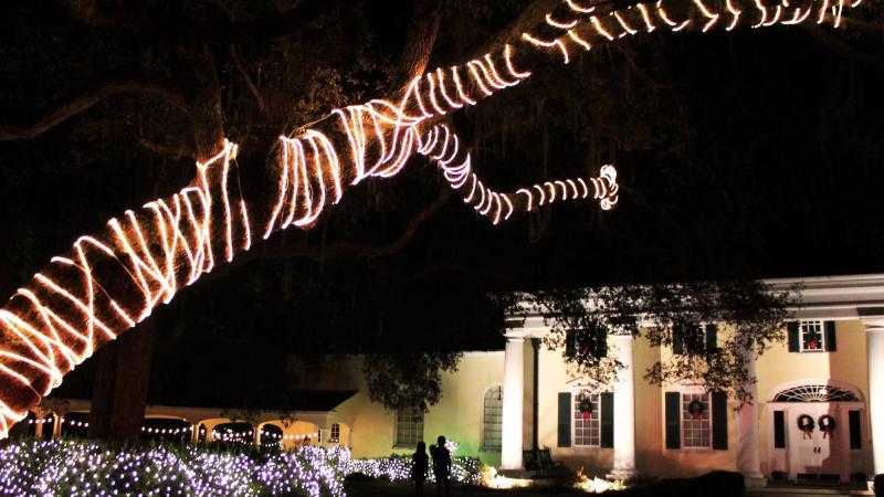 An oak tree limb wrapped in holiday lights stands in front of the museum at Stephen Foster Folk Culture Center State Park.