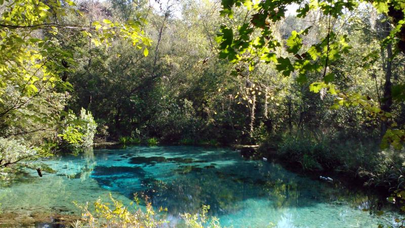 Ichetucknee Springs Tube & Water Sports - Ichetucknee Springs