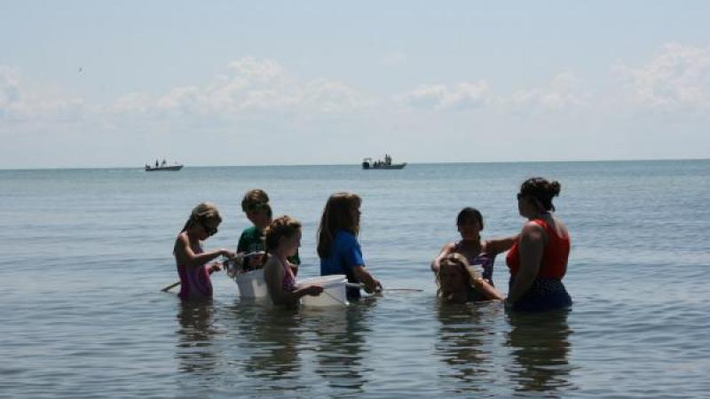 Children in the bay with nets and buckets