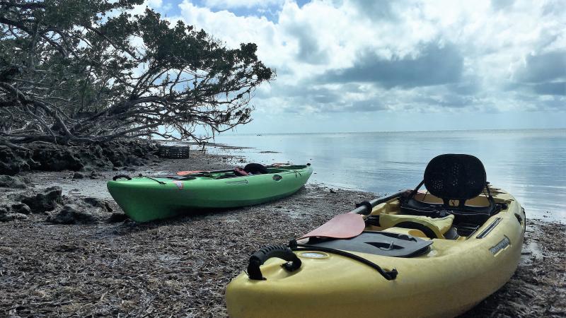 Kayaks at kayak Landing