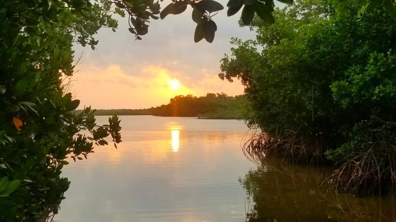 Kayak Launch at Sunrise 