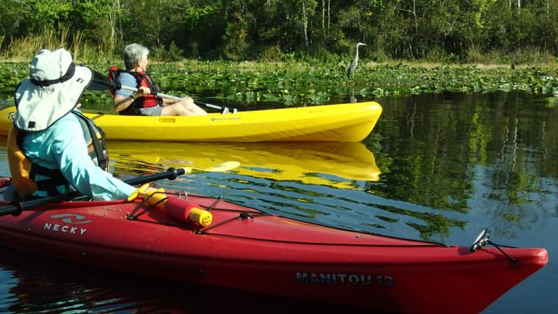 A red kayak and a yellow kayak sit on the water