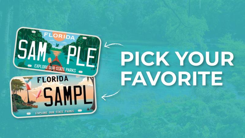 Pick your favorite of two sample specialty license plates.