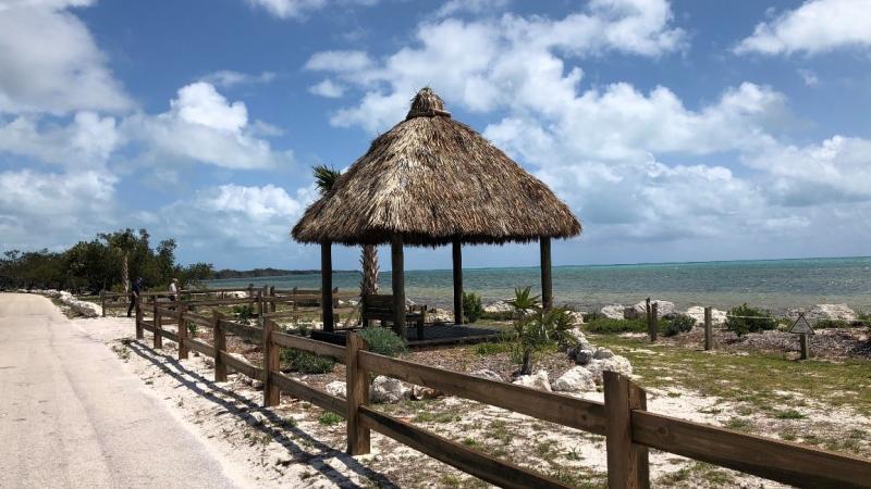 A view of the newly built tiki hut.