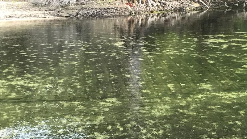 the shape of a ship is visible under the water in a spring run