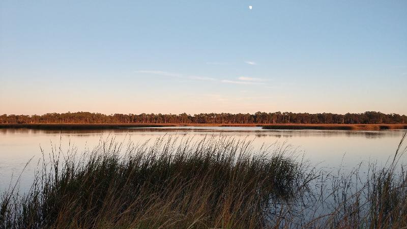 a moon rises over a grassy creek