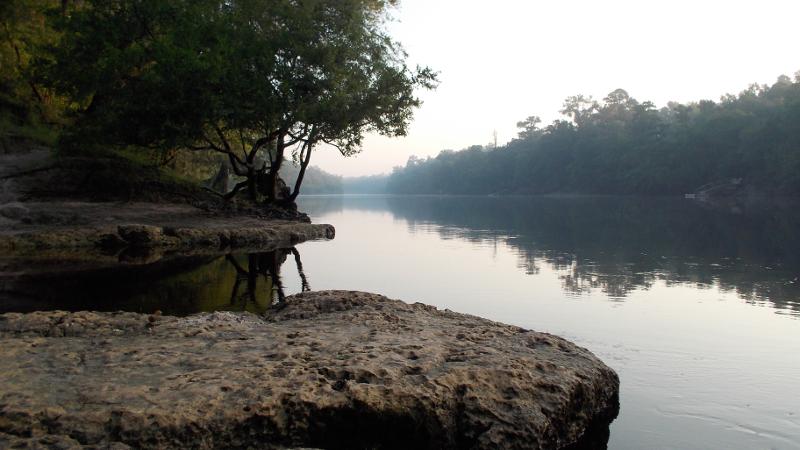 a river covered in mist flows past a spring entrance. Trees also cover the banks.