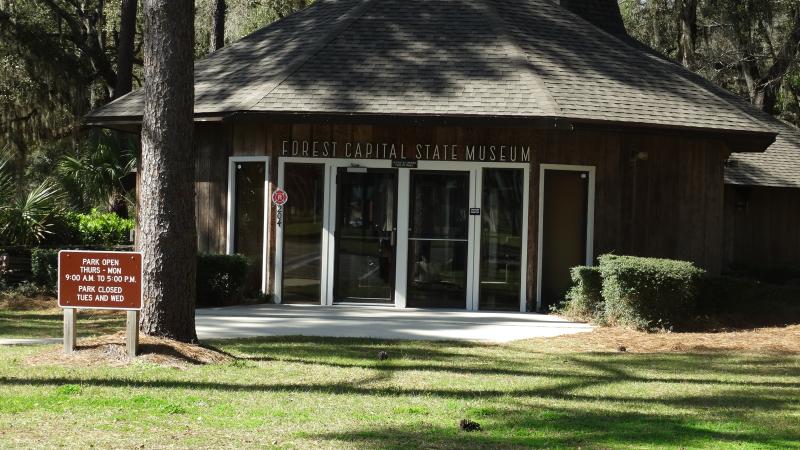 a dark wood building with a rounded roof sits in the shade of many pine trees.