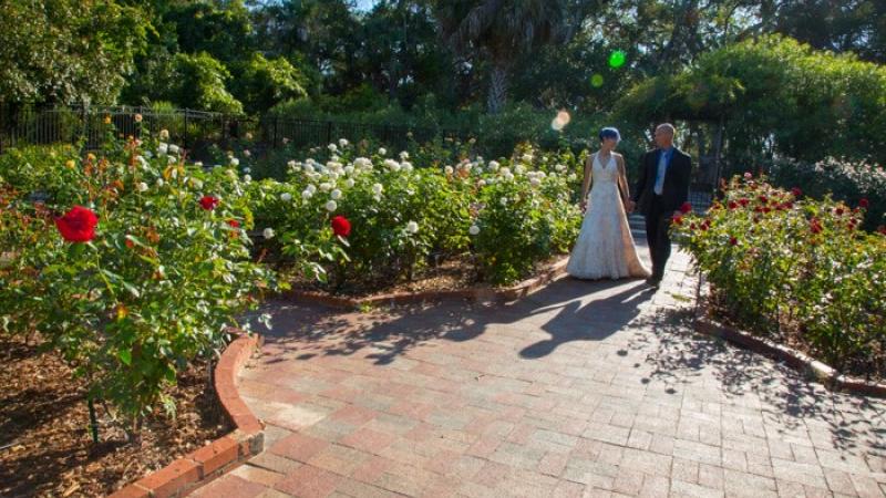 a couple stands in the garden in their wedding attire 