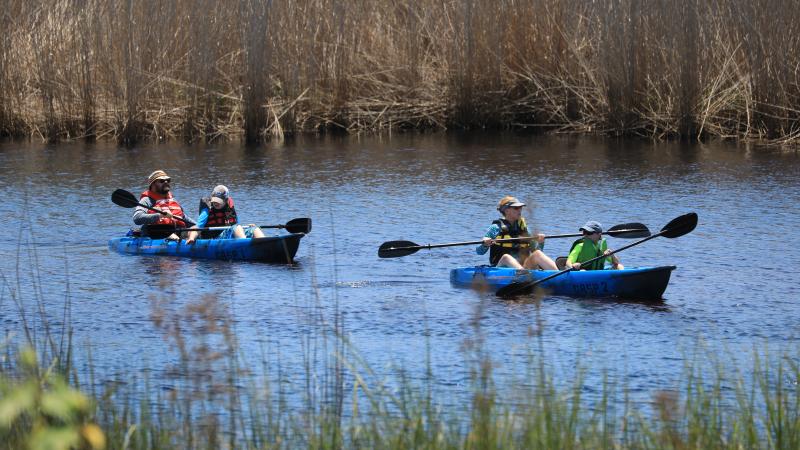 Two kayaks, each with an adult and a child, paddle on the coastal dune lake. 