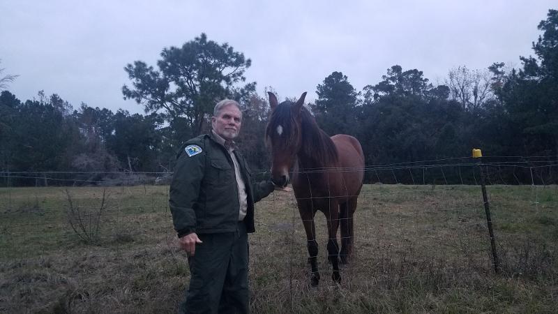 Image of Robert Dampman, Devil's Millhopper Park Manager, standing ina field petting a horse.