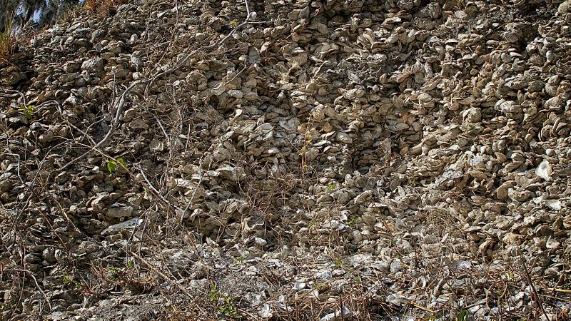 shells and other materials form a large mound